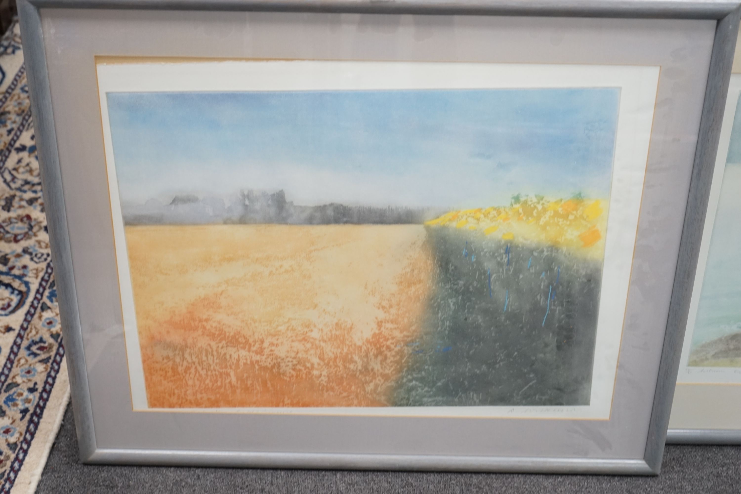 Donald Wilkinson (1937-), three screenprints, 'Camus Nan Gael', 'Autumn Eigg' and 'Edge of the Sunflower field, Provence', all signed in pencil, largest 48 x 63cm